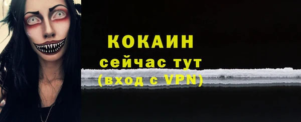 шишки Медногорск