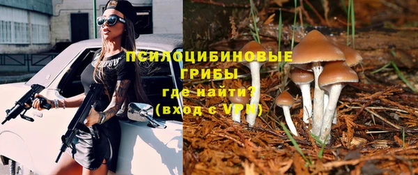 mdpv Медвежьегорск