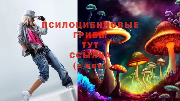шишки Медногорск