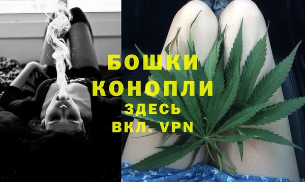 шишки Медногорск