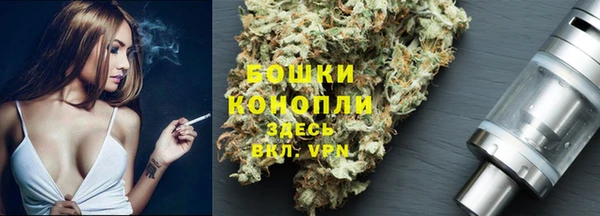 mdpv Медвежьегорск