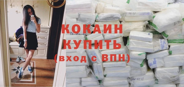 шишки Медногорск