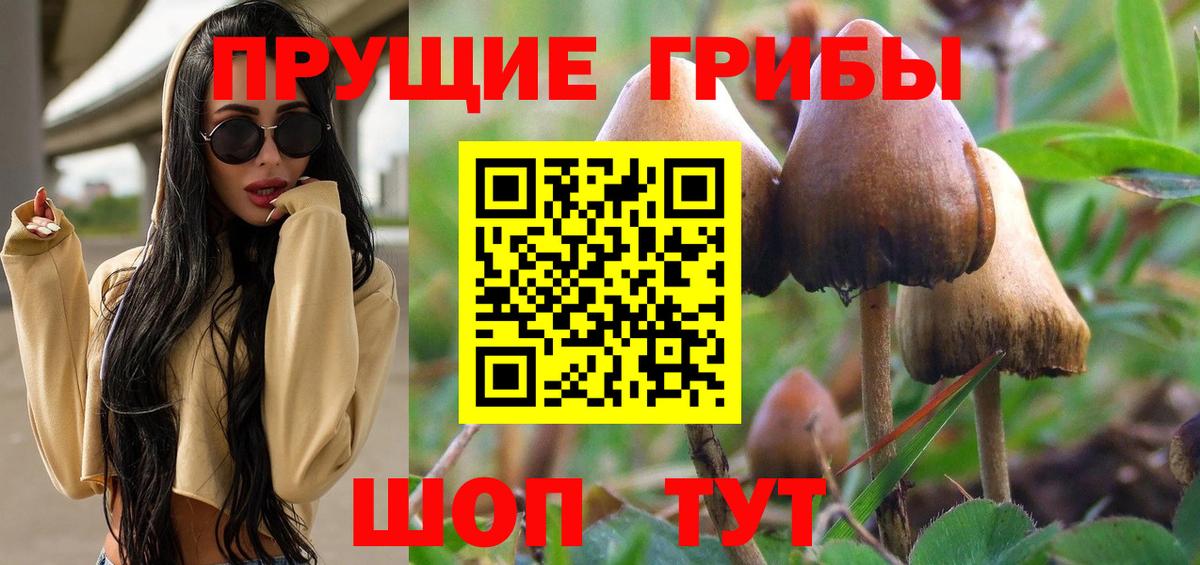 Галлюциногенные грибы прущие грибы  Вход с VPN  Воскресенск 