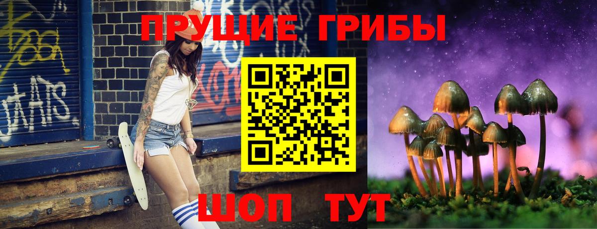 Псилоцибиновые грибы Psilocybe Воскресенск